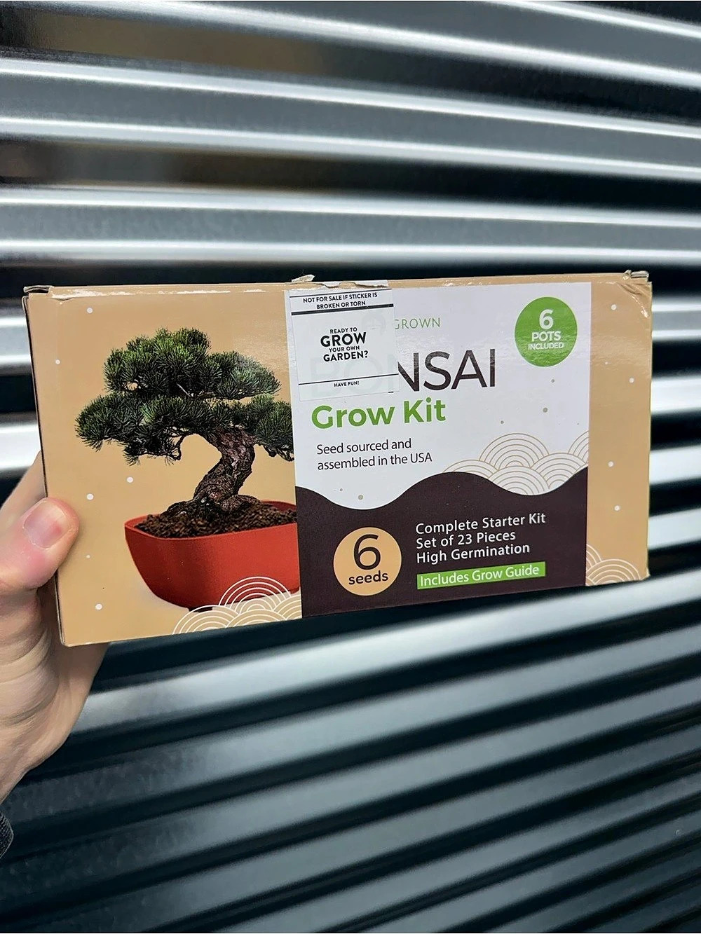 Homegrown Co. Bonsai Grow Kit. 6-Seed